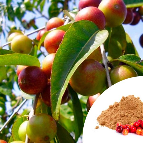 Camu Camu