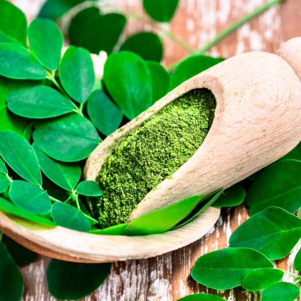 Moringa