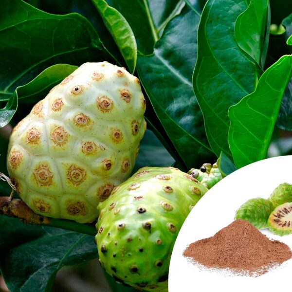 Noni