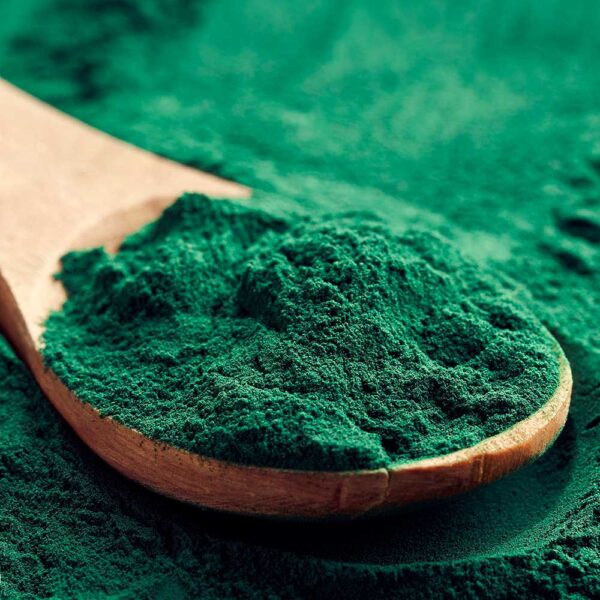 Spirulina